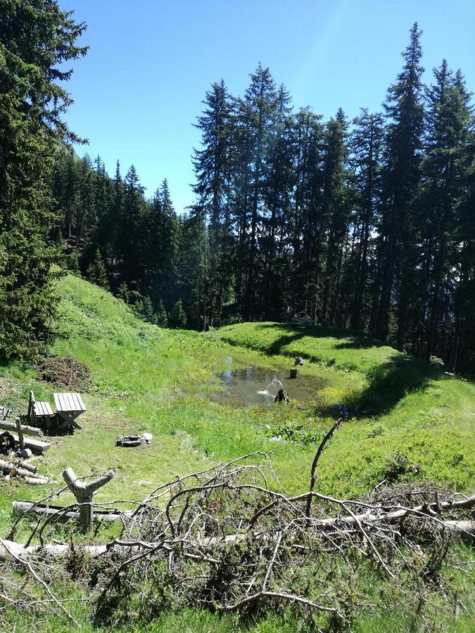 Bichlerhof Lägenhet Hopfgarten in Defereggen Exteriör bild